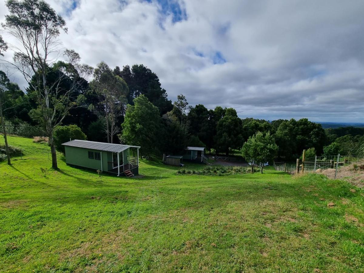 Cozy Otways Accommodation Beech Forest Exterior foto