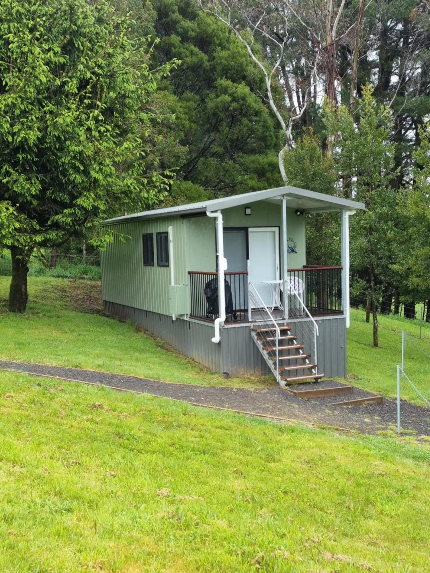 Cozy Otways Accommodation Beech Forest Habitación foto